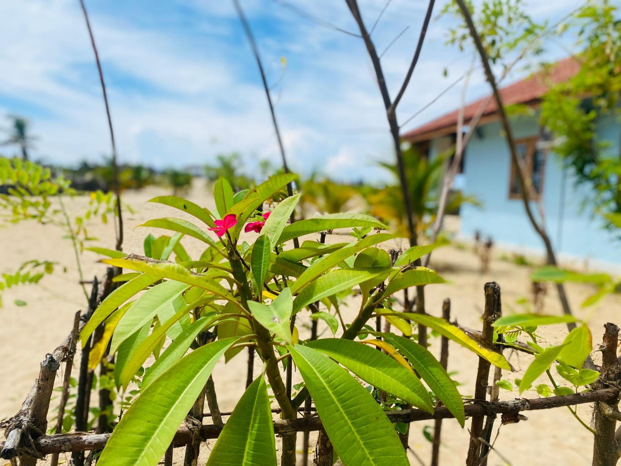 Oceano Beach Villa Arugam Bay Eksteriør billede